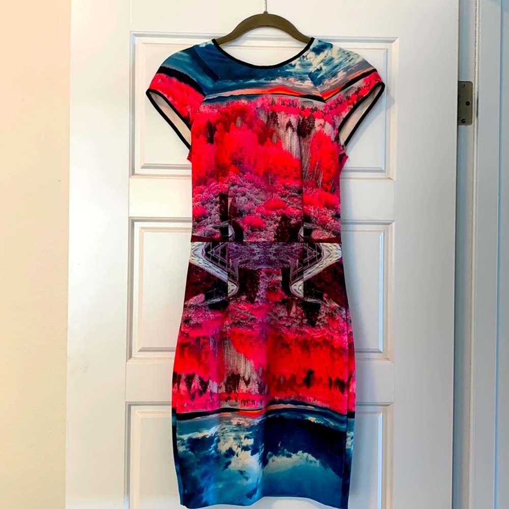 STUNNING Ted Baker London “Sew in Love” LIMITED EDITION SCUBA DRESS SIZE 0. ❤️